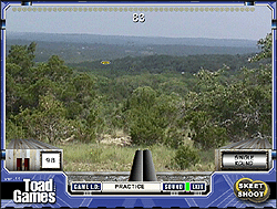 Skeet Shoot