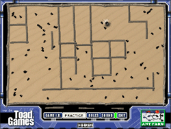 Ant Farm